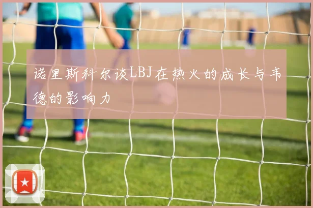 诺里斯科尔谈LBJ在热火的成长与韦德的影响力
